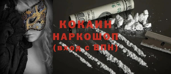 дмт Богданович