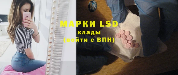 дмт Богданович