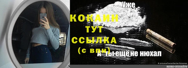 дмт Богданович