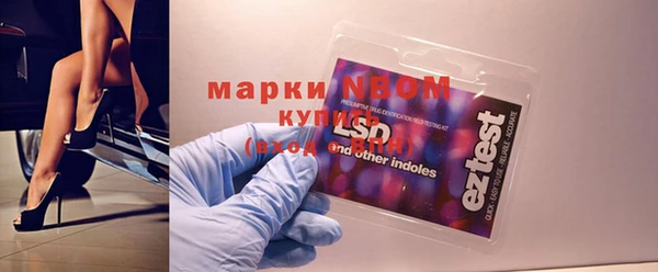 дмт Богданович