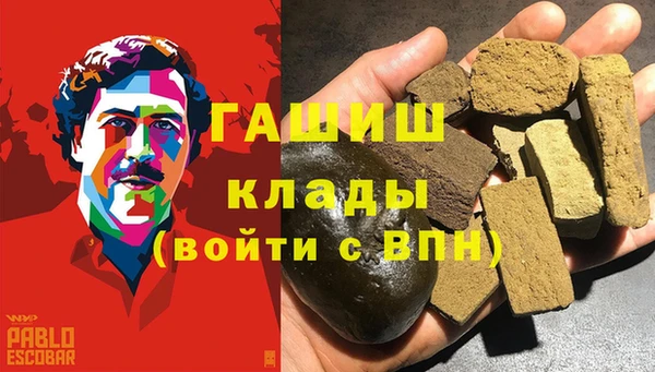 дмт Богданович