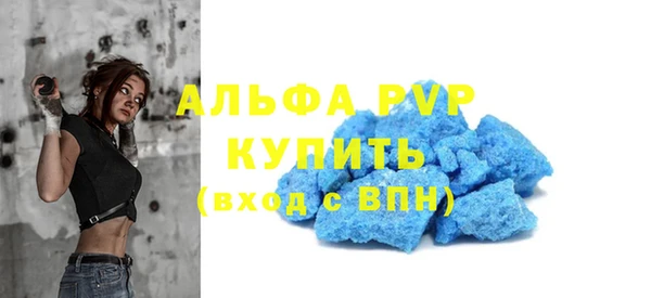 дмт Богданович