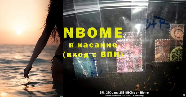 дмт Богданович